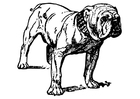 Dibujos para colorear perro - bulldog
