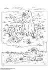 Dibujos para colorear Perro de la pradera