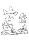 Dibujos para colorear pescado con tiburon y cangrejo