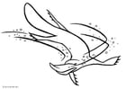 Dibujos para colorear Platypus