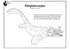 Dibujos para colorear Plioplatecarpus