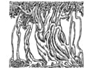 Dibujos para colorear Árbol de banyan