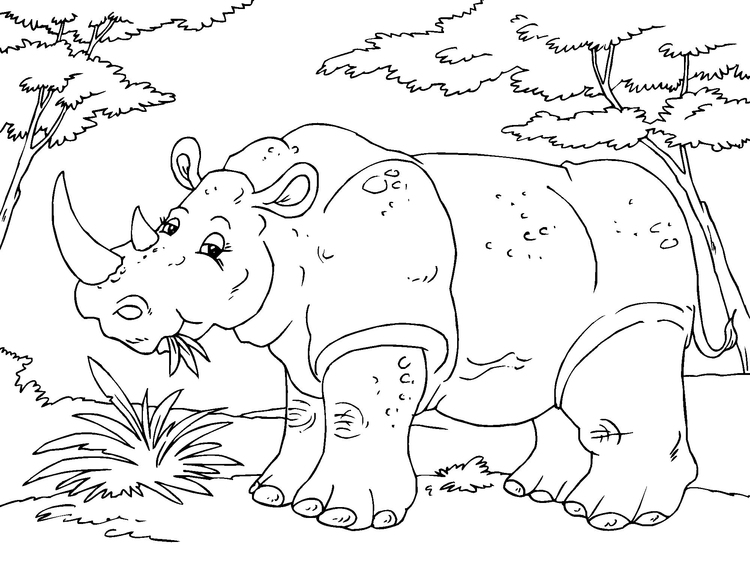 Dibujo para colorear rinoceronte