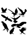 Dibujos para colorear siluetas de águilas