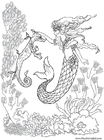 Dibujos para colorear Sirena con caballito de mar