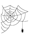 Dibujos para colorear telaraña con araña