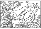 Dibujos para colorear tortuga
