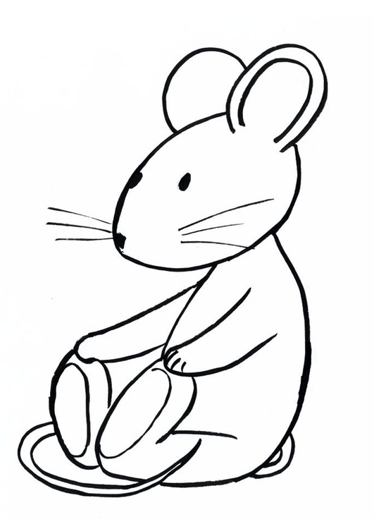 Dibujo para colorear Transi, el conejo