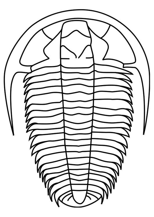 trilobita