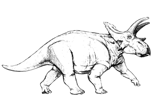 Dinosaurio anchiceratops
