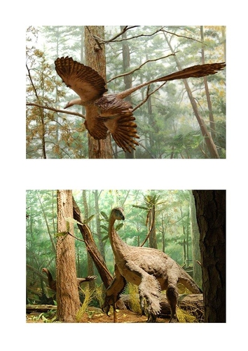 Dinosaurio con plumas