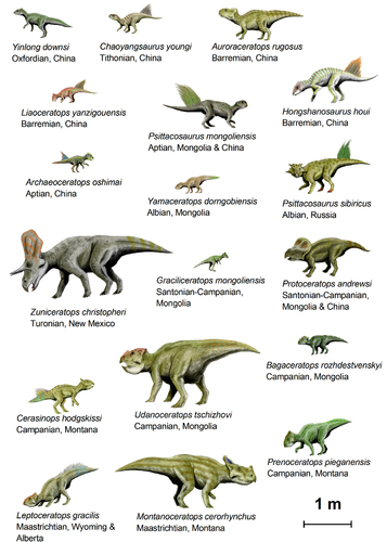 Imagen Dinosaurios 