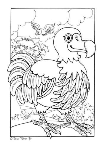Dibujo para colorear Dodo