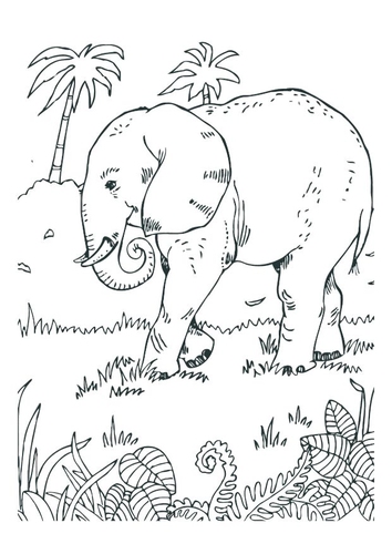 Elefante