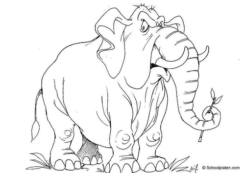 Elefante