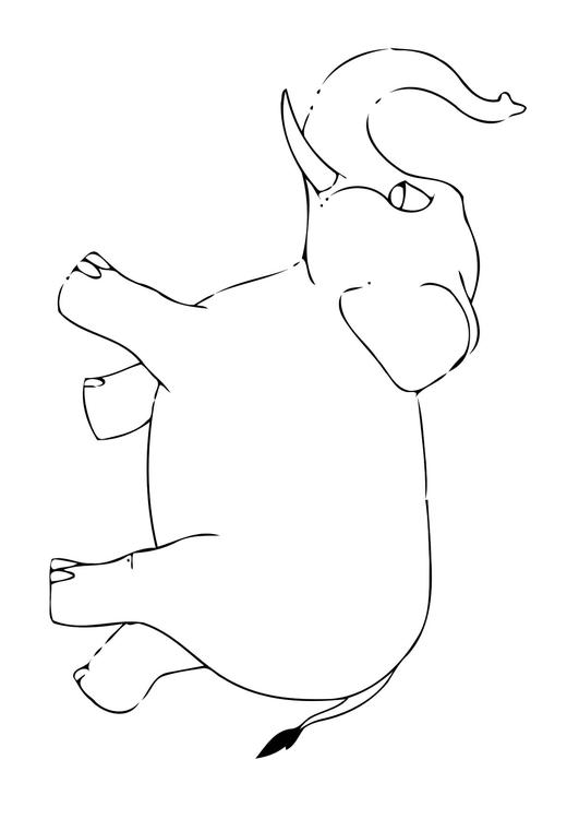 07b. Elefante