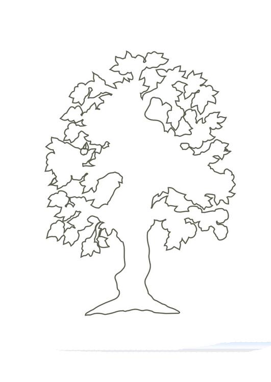 Árbol