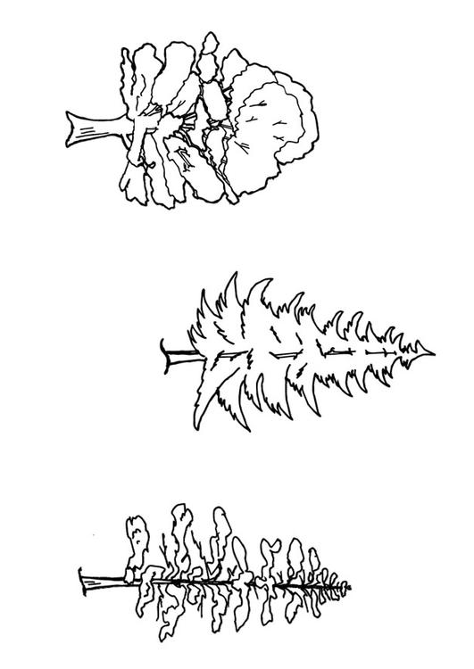 Árboles