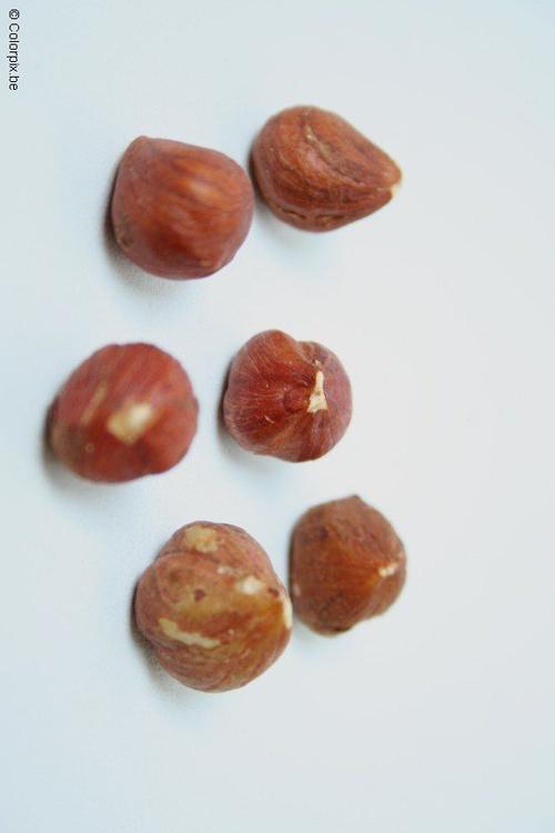 Avellanas