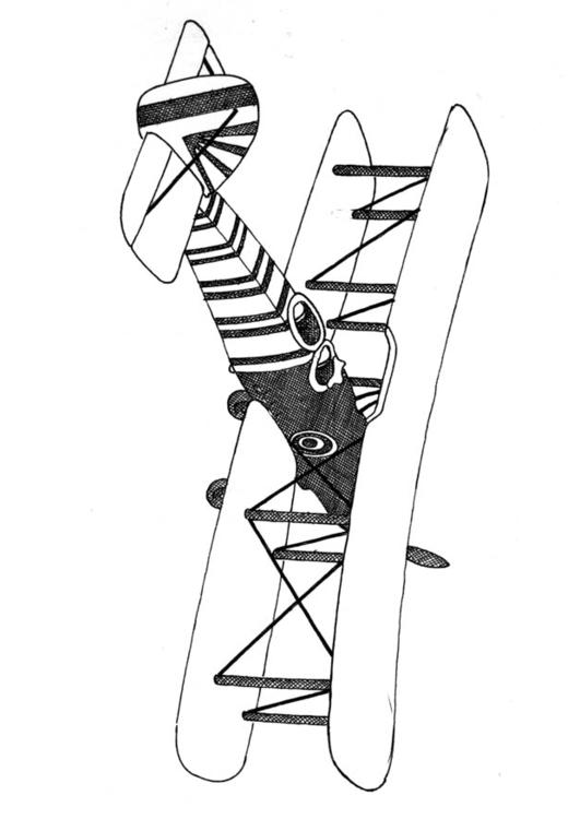 Avión biplano