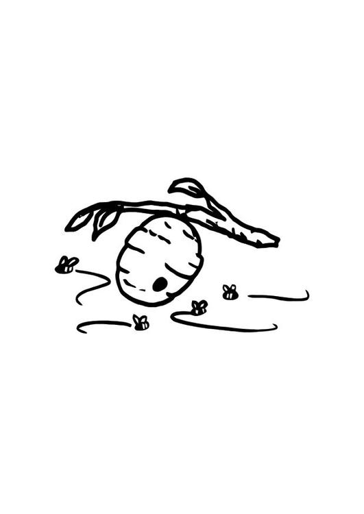 Avispero