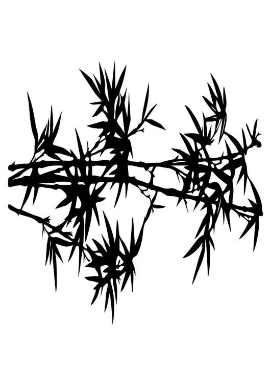 Bambú