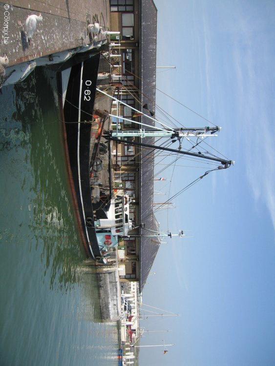 Barco pesquero