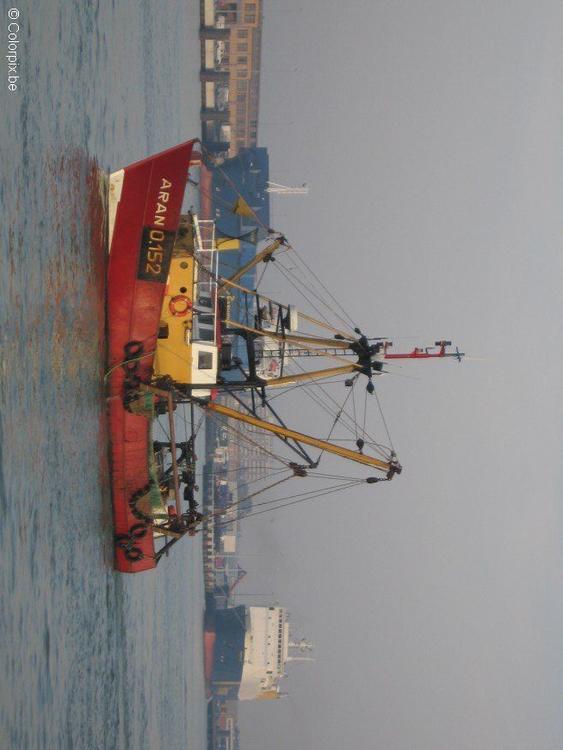 Barco pesquero