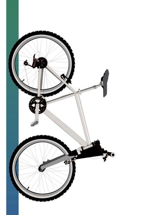 Bicicleta 7