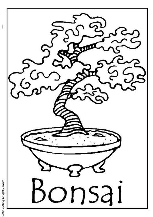 Bonsai