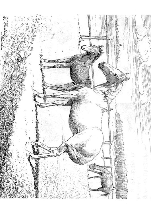 Caballo con potro
