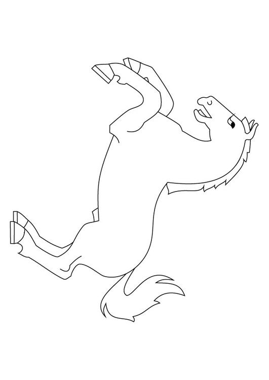 Caballo levantado