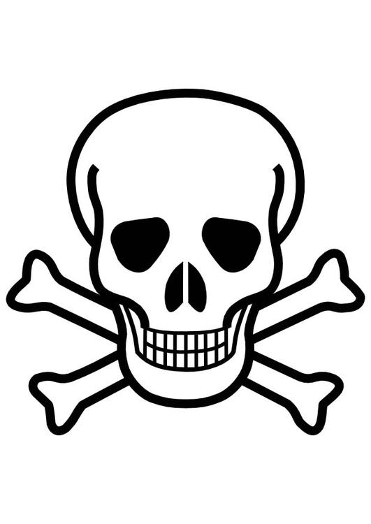 calavera