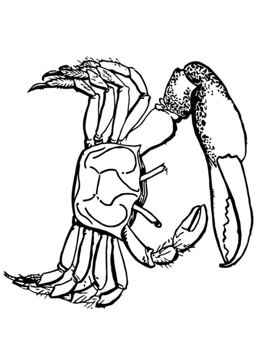 Cangrejo