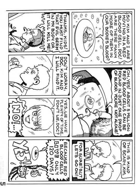 Capítulo 05