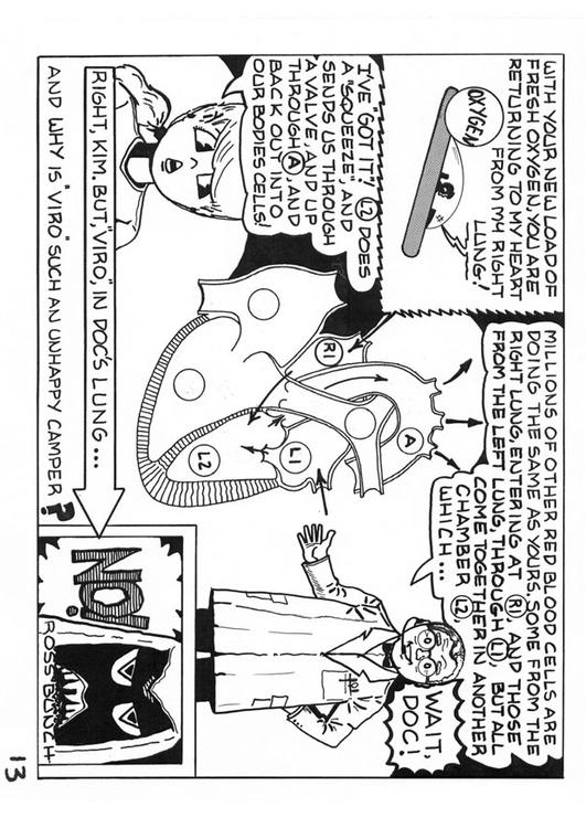 Capítulo 13