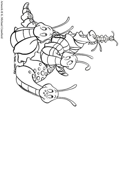 Caracoles