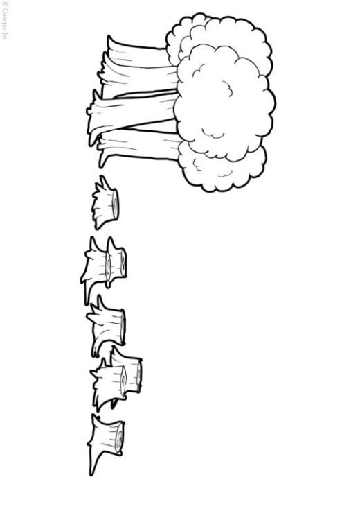 Deforestación