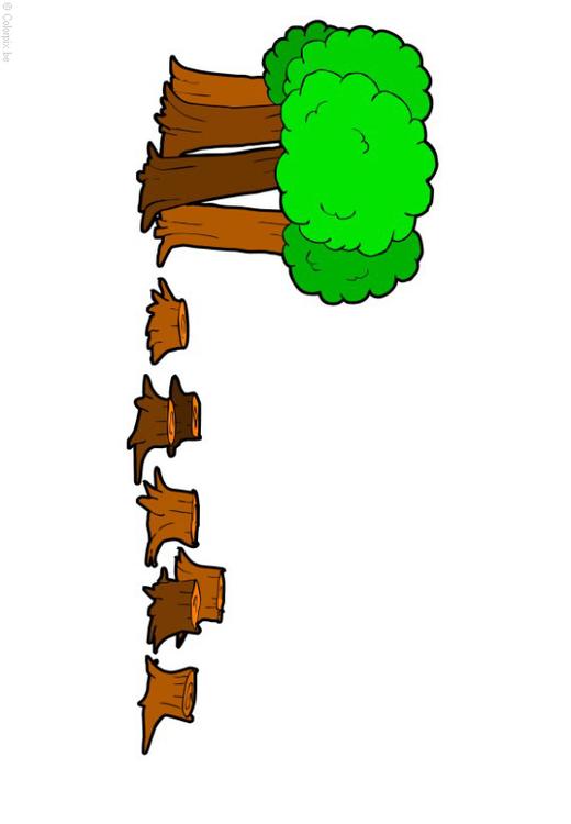 Deforestación