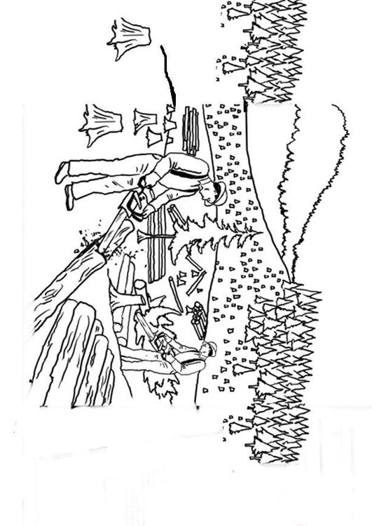 Deforestación