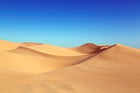 Fotos desierto
