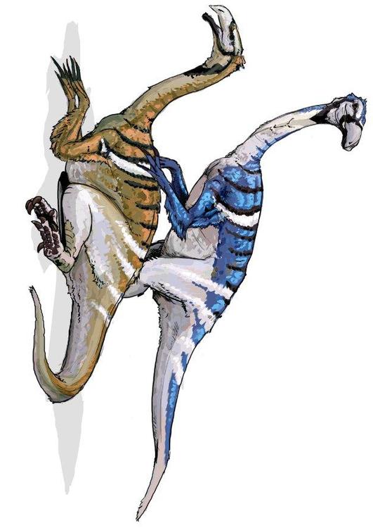 Dinosaurio Nanshiungosaurus