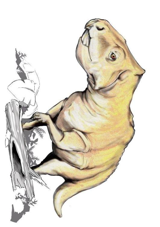 Dinosaurio prenoceratops