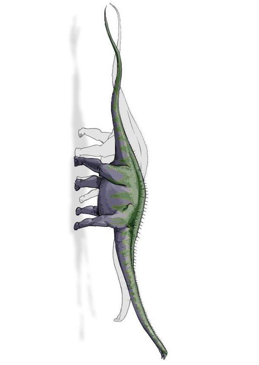 Dinosaurio supersaurio