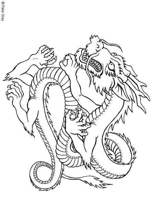 dragón