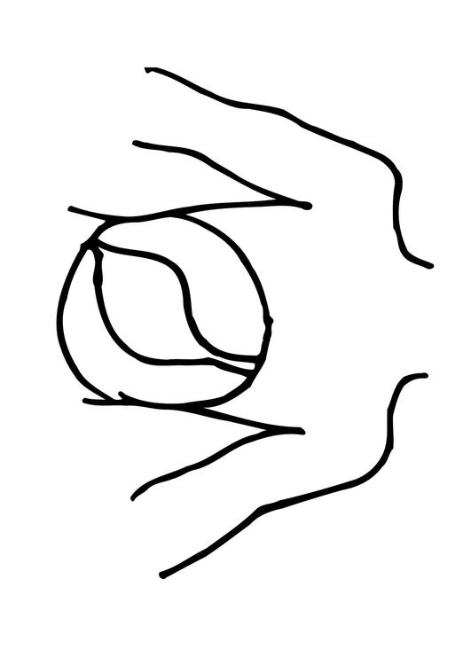 Estómago