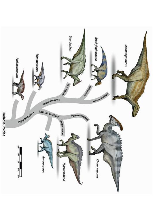 Evolución de los dinosaurios