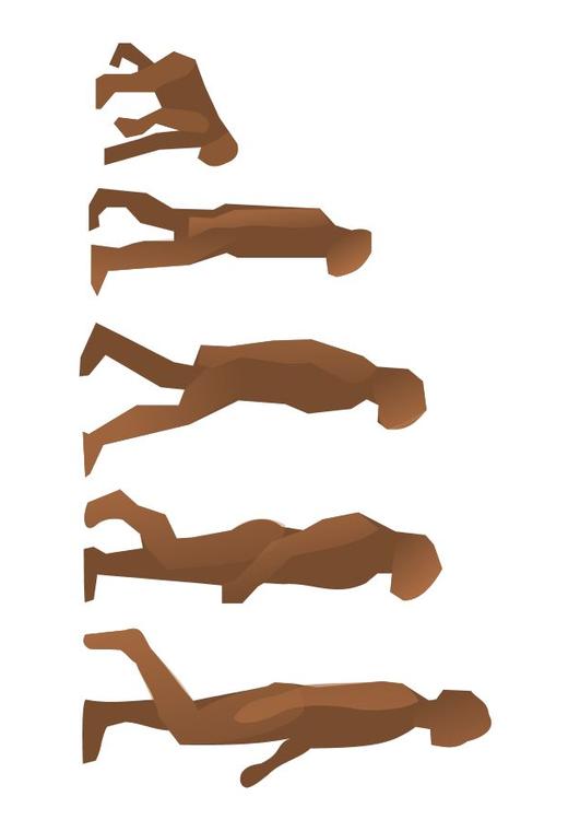 Evolución del hombre