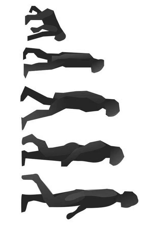 Evolución