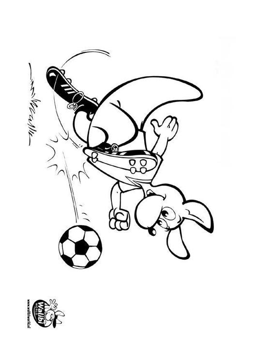 Fútbol